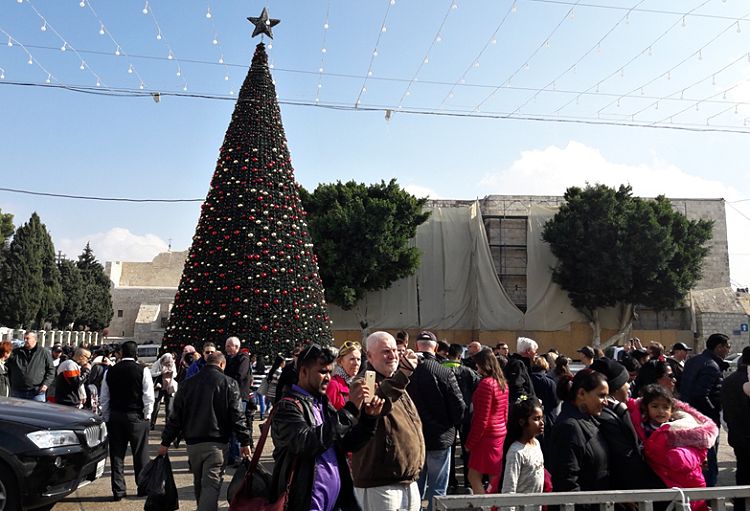 Vánoční strom na betlémském náměstí Jesliček