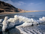 Mrtvé moře - živé moře